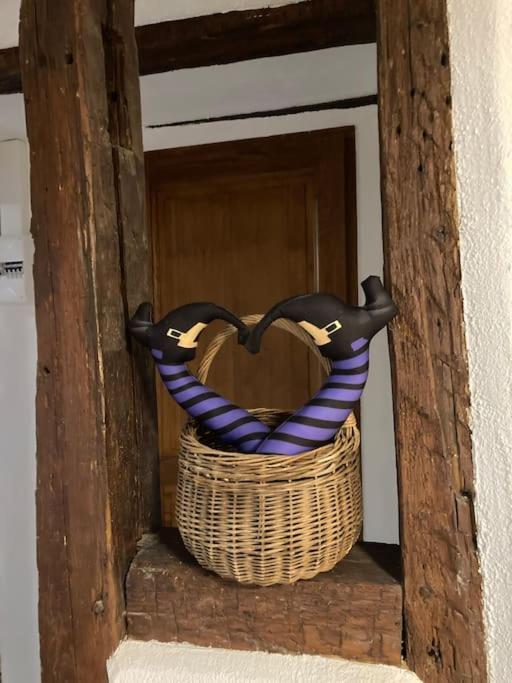 La Sorciere In A Typical Alsatian House Apartamento Rouffach Exterior foto