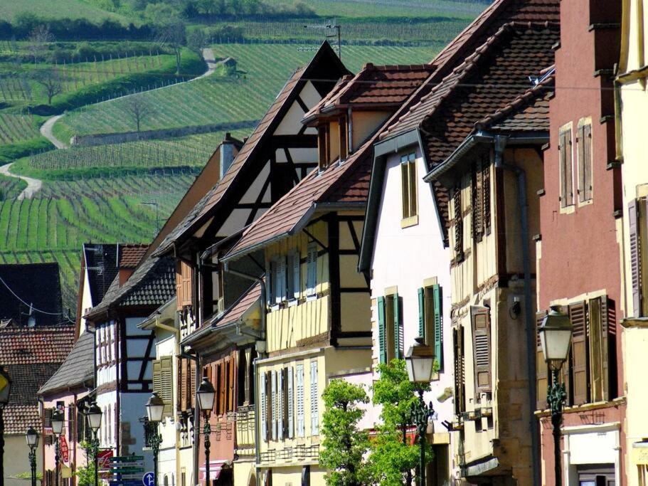 La Sorciere In A Typical Alsatian House Apartamento Rouffach Exterior foto
